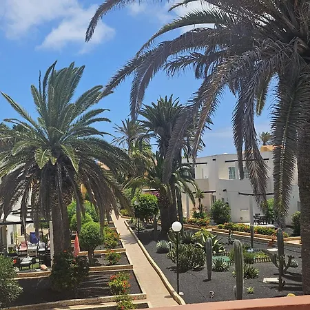 New Alisios Playa كوراليهو