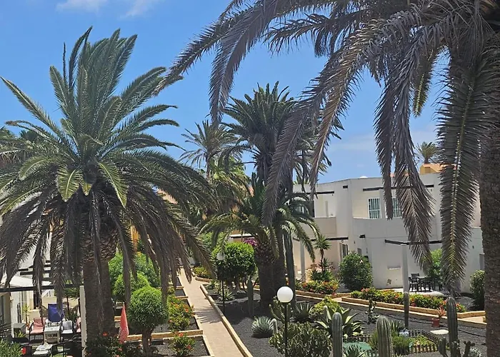 New Alisios Playa Corralejo